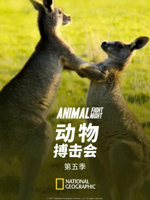 Portada de Animal Fight Night: Temporada 5