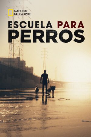 Portada de Dog: Impossible: Temporada 1