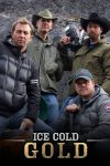 Portada de Oro bajo cero