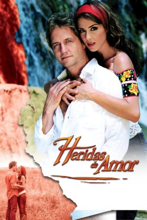 Portada de Heridas de Amor