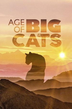 Portada de Age of Big Cats