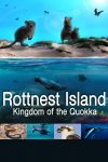 Portada de Rottnest Island: Kingdom Of The Quokka
