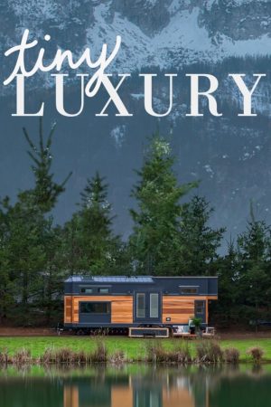 Portada de Tiny Luxury