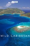 Portada de Wild Caribbean: Temporada 1