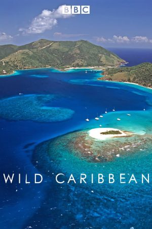 Portada de Wild Caribbean: Temporada 1