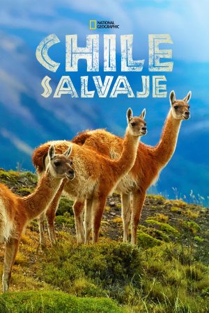 Portada de Chile Salvaje