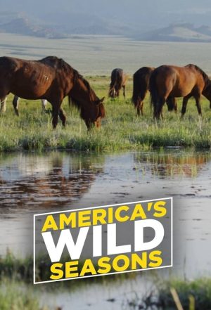 Portada de America's Wild Seasons: Temporada 1