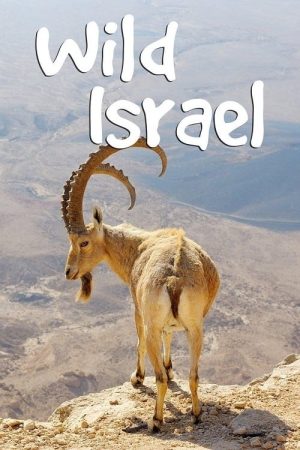 Portada de Wild Israel