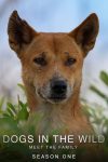 Portada de Dogs in the Wild: Meet the Family: Temporada 1