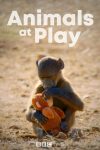 Portada de Animals at Play: Temporada 1