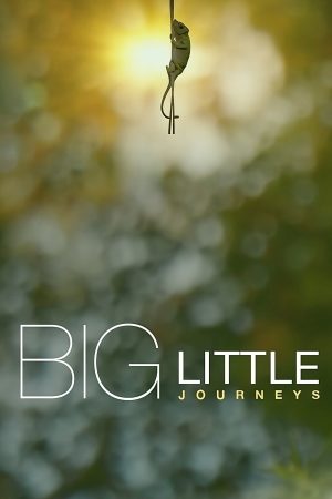 Portada de Big Little Journeys