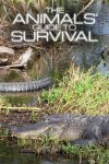 Portada de The Animals' Guide to Survival