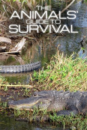 Portada de The Animals' Guide to Survival
