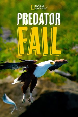 Portada de Los depredadores también fallan