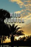 Portada de Seasons of the Wild: Temporada 1