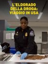 Portada de National Geographic: L'Eldorado della droga Viaggio in USA