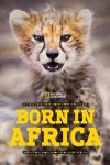 Portada de Born in Africa: Temporada 1