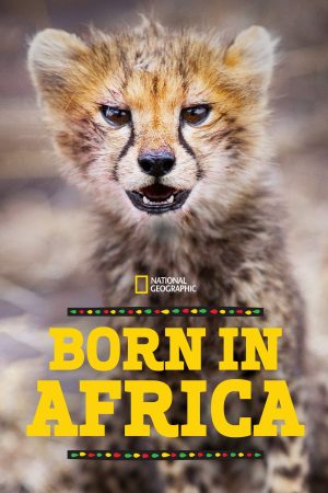 Portada de Born in Africa: Temporada 1