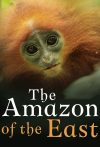 Portada de The Amazon of the East