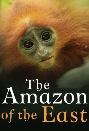 Portada de The Amazon of the East