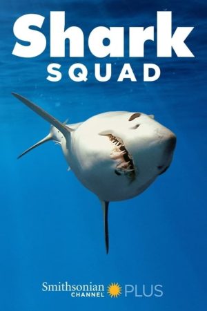 Portada de Shark Squad