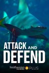 Portada de Attack and Defend