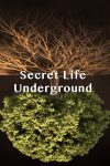 Portada de Secret Life Underground