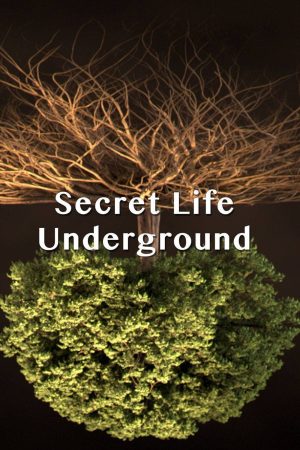 Portada de Secret Life Underground