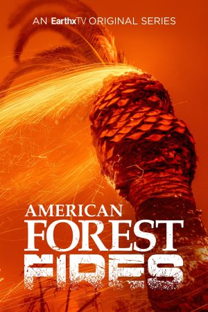 Portada de American Forest Fires: The Untold Story