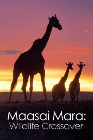 Portada de Masai Mara Wildlife Crossover