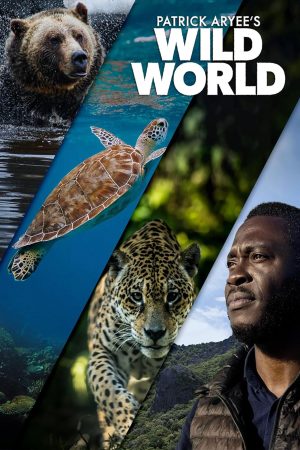 Portada de Patrick Aryee's Wild World