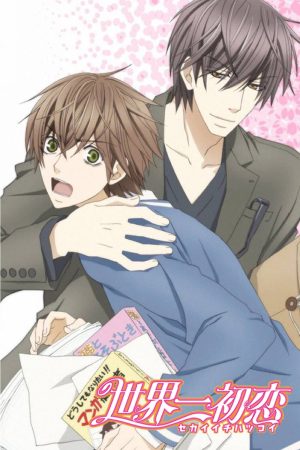 Portada de 世界一初恋: Temporada 1