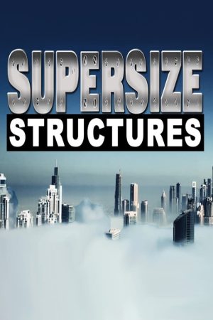 Portada de Supersize Structures