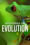 Portada de Mysteries of Evolution