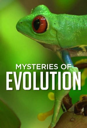 Portada de Mysteries of Evolution