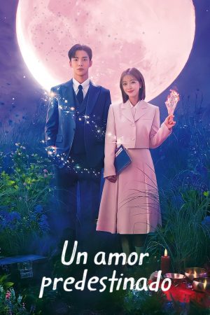 Portada de Destined with You
