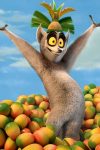 Portada de Larga vida al rey Julien: Temporada 3