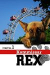 Portada de Rex, un policía diferente: Temporada 1