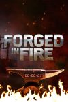 Portada de Forjado a fuego: Temporada 8