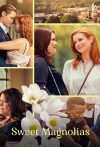 Portada de Dulces magnolias: Temporada 2