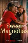 Portada de Dulces magnolias: Temporada 3