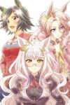 Portada de Uma Musume: Pretty Derby: Especiales