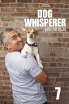 Portada de El Encantador de Perros: Temporada 7