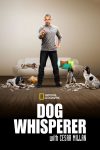 Portada de El Encantador de Perros: Temporada 9