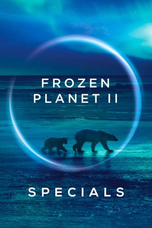 Portada de Planeta helado II: Especiales