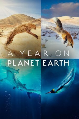 Portada de A Year on Planet Earth