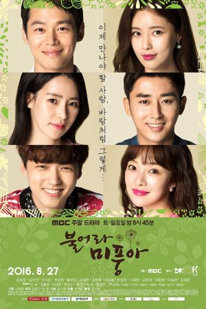 Portada de Windy Mi Poong