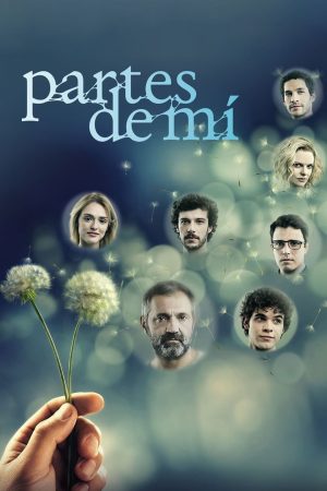 Portada de Sete Vidas