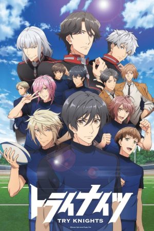 Portada de Try Knights