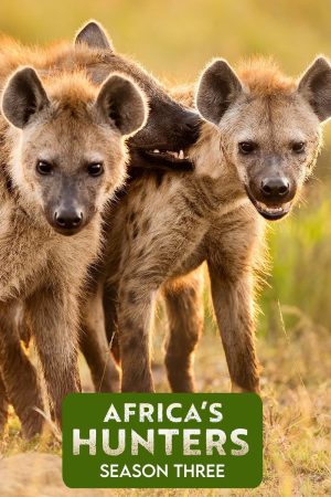 Portada de Cazadores de África: Temporada 3